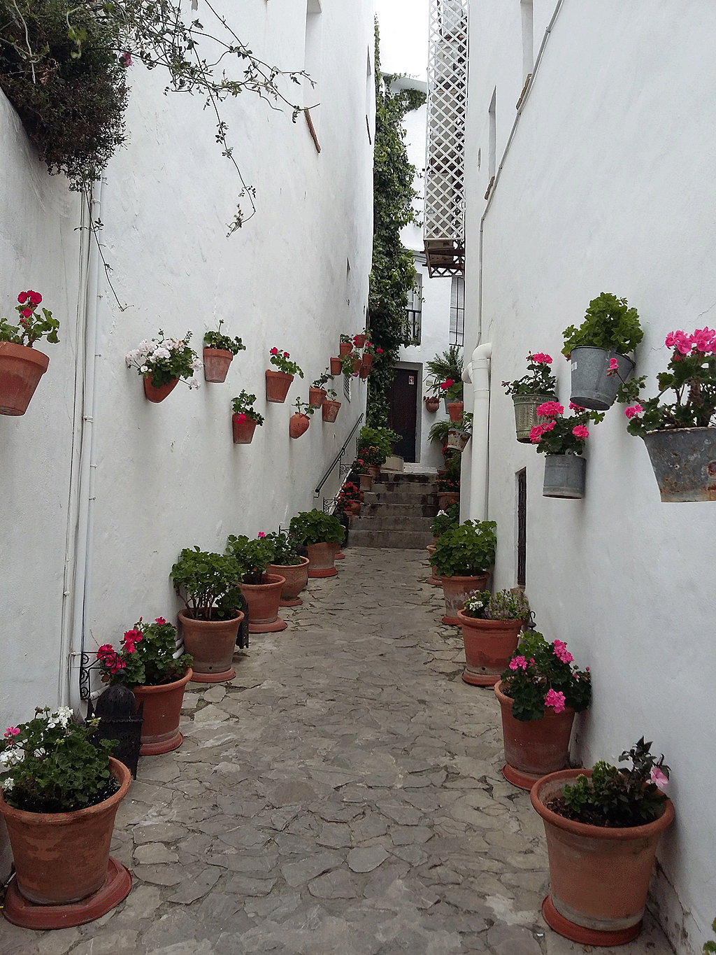 Flower lined alleyway