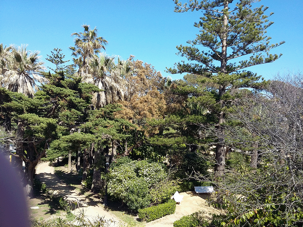 Overlooking the Botanical Gardens Cadiz