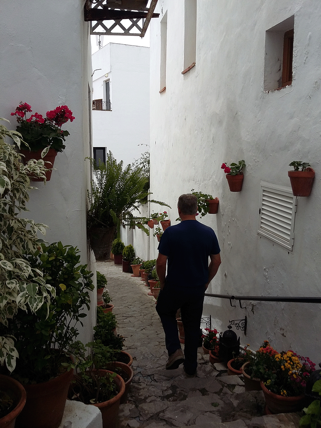 Walking down to the restaurant level