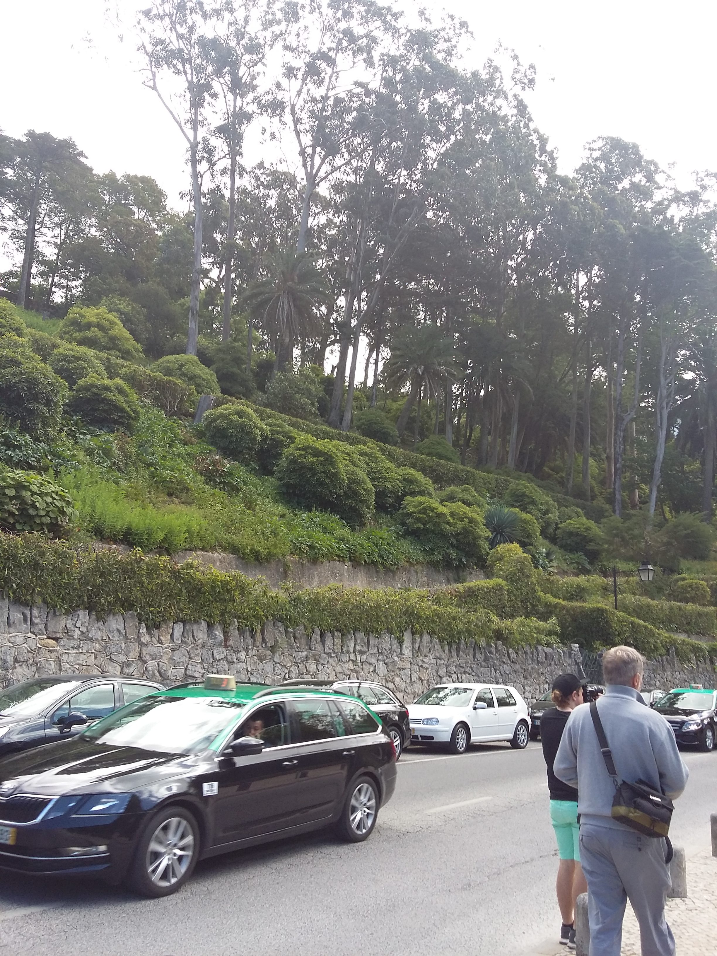 View to Liberty park