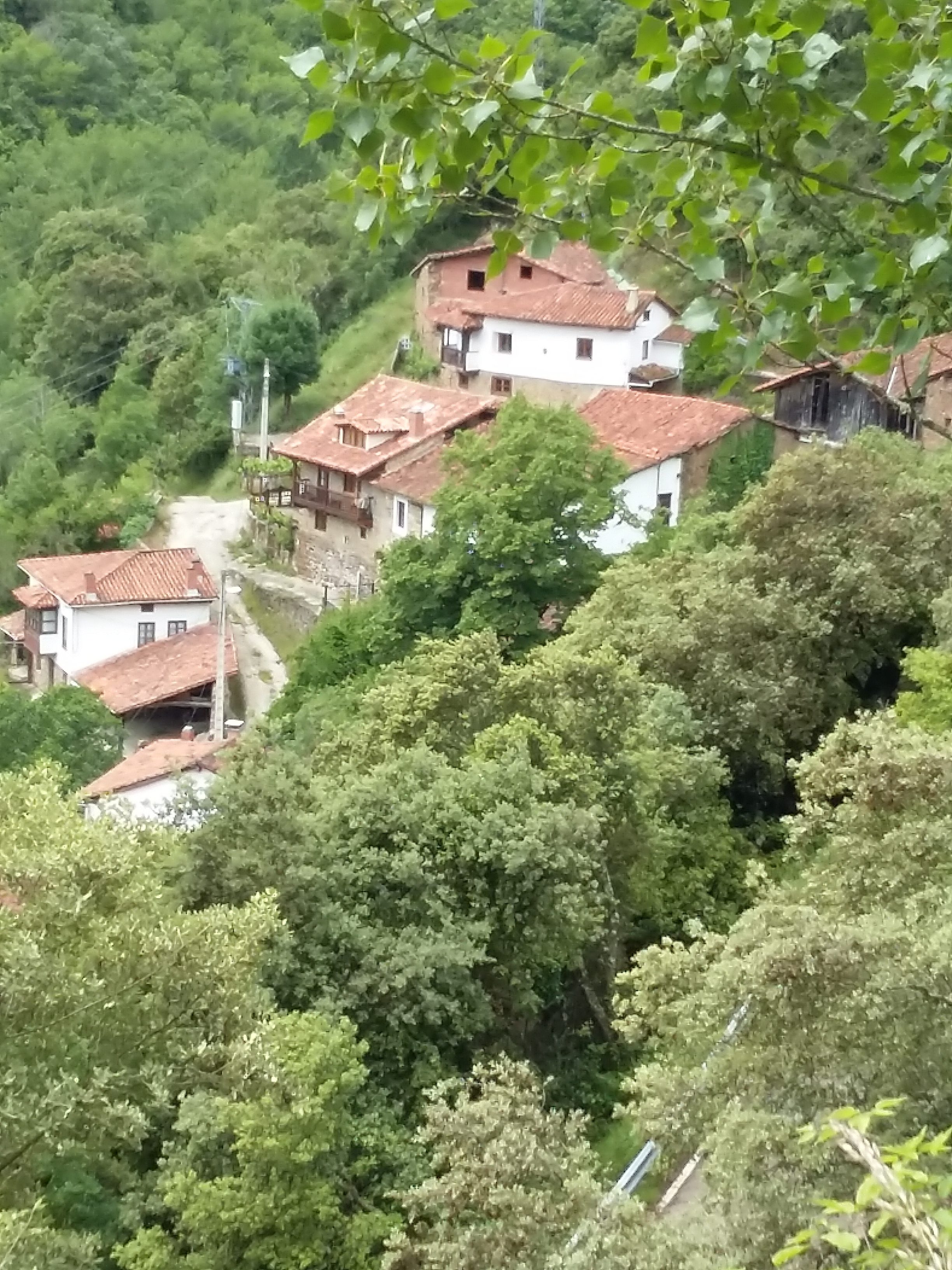 Picos Europa National Park