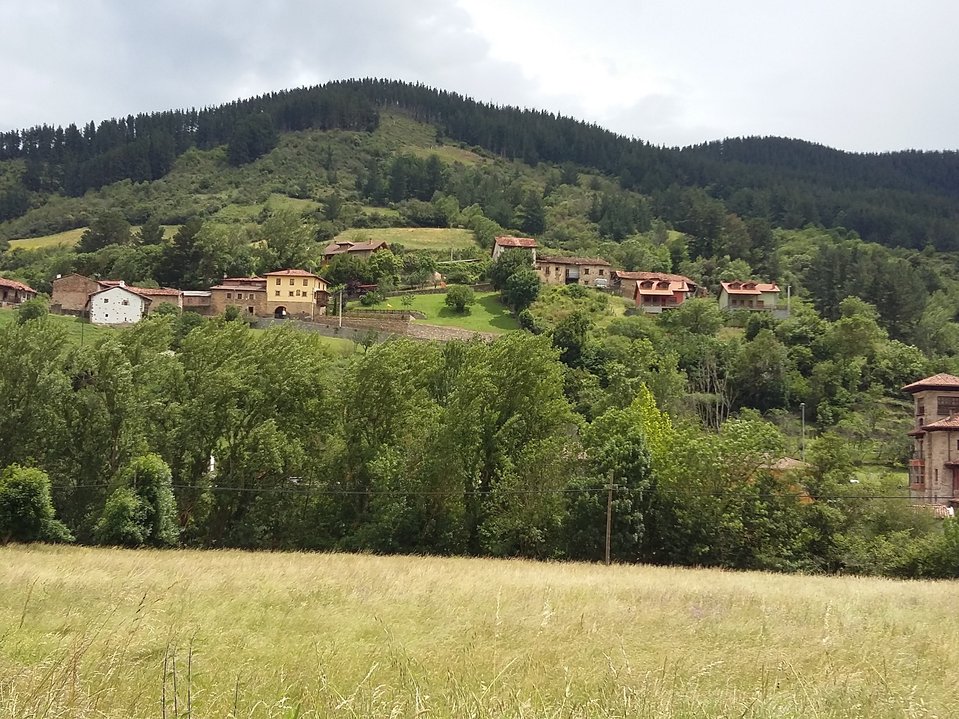 Picos Europa National Park