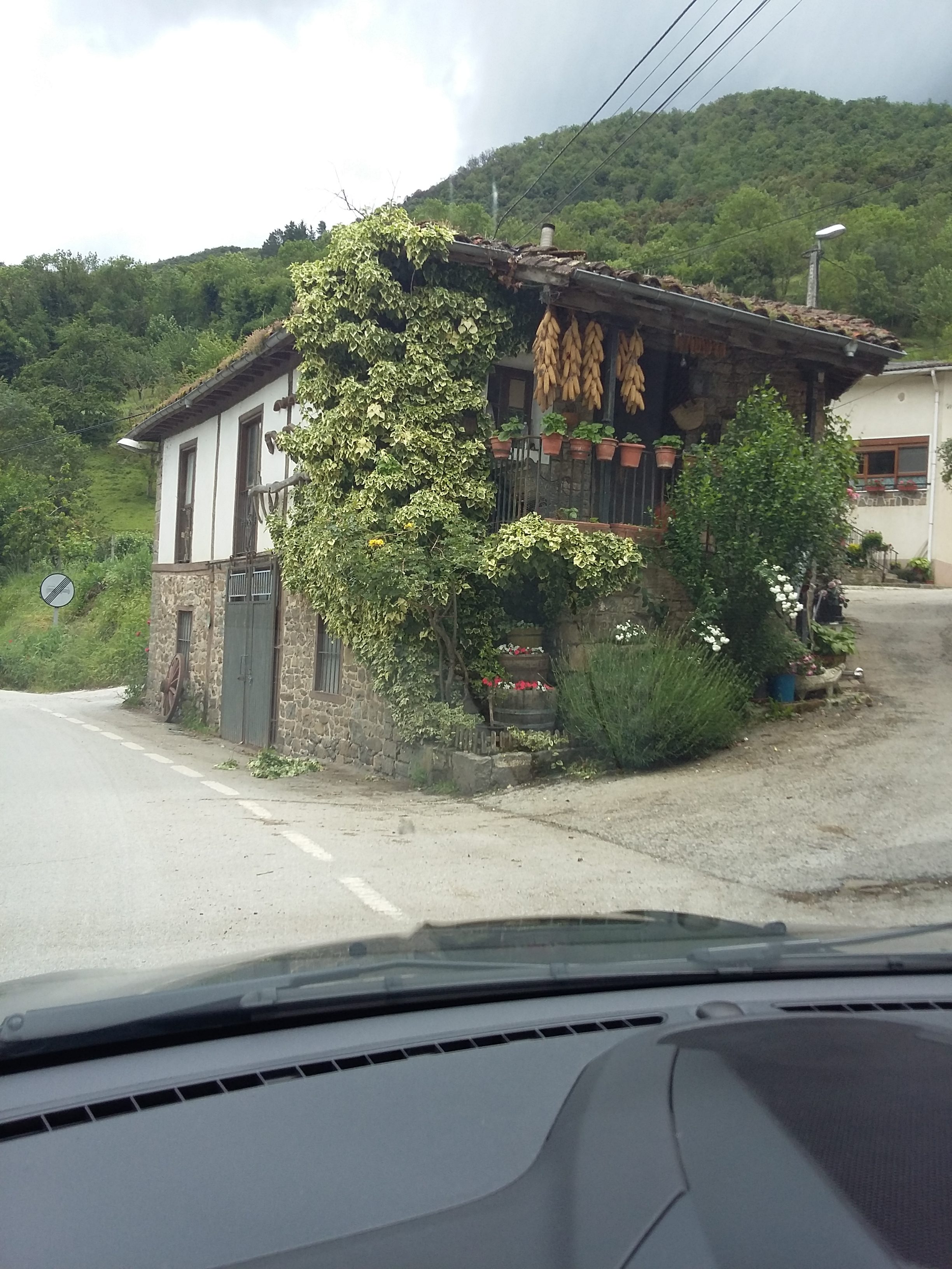 Picos Europa National Park